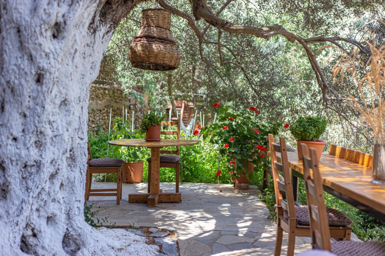 Small Paradise Andros Town Ngoại thất bức ảnh